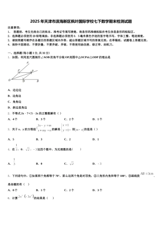 2025年天津市滨海新区枫叶国际学校七下数学期末检测试题含解析
