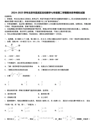 2024-2025学年北京市宣武区名校数学七年级第二学期期末统考模拟试题含解析