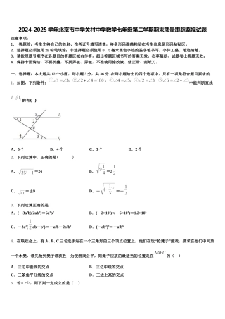 2024-2025学年北京市中学关村中学数学七年级第二学期期末质量跟踪监视试题含解析
