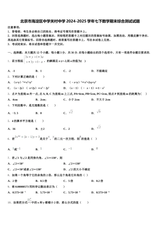 北京市海淀区中学关村中学2024-2025学年七下数学期末综合测试试题含解析