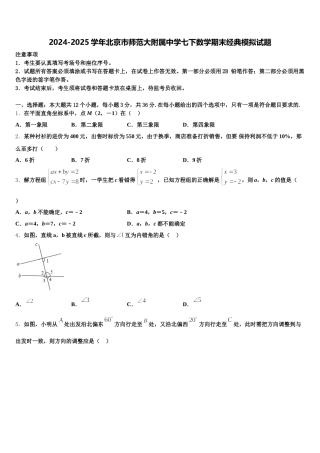 2024-2025学年北京市师范大附属中学七下数学期末经典模拟试题含解析