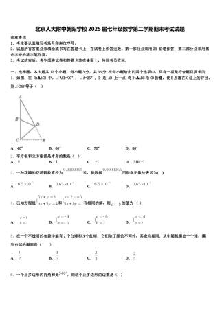 北京人大附中朝阳学校2025届七年级数学第二学期期末考试试题含解析