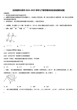北京首师大附中2024-2025学年七下数学期末综合测试模拟试题含解析