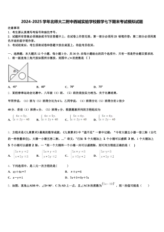 2024-2025学年北师大二附中西城实验学校数学七下期末考试模拟试题含解析