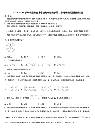 2024-2025学年北京市育才学校七年级数学第二学期期末质量检测试题含解析