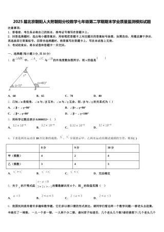 2025届北京朝阳人大附朝阳分校数学七年级第二学期期末学业质量监测模拟试题含解析