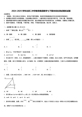 2024-2025学年北京二中学教育集团数学七下期末综合测试模拟试题含解析