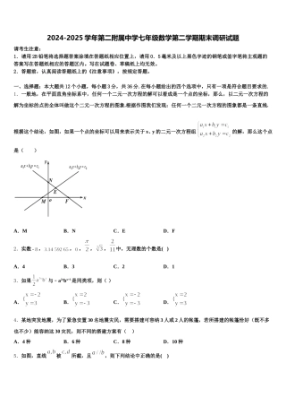 2024-2025学年第二附属中学七年级数学第二学期期末调研试题含解析