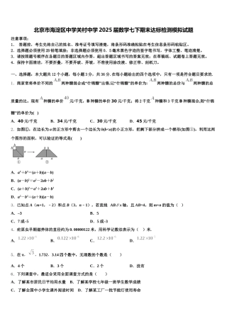 北京市海淀区中学关村中学2025届数学七下期末达标检测模拟试题含解析