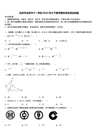 北京市北京市十一学校2025年七下数学期末综合测试试题含解析