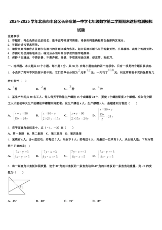 2024-2025学年北京市丰台区长辛店第一中学七年级数学第二学期期末达标检测模拟试题含解析