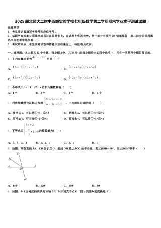 2025届北师大二附中西城实验学校七年级数学第二学期期末学业水平测试试题含解析