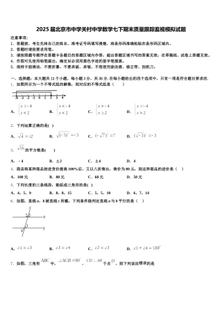 2025届北京市中学关村中学数学七下期末质量跟踪监视模拟试题含解析