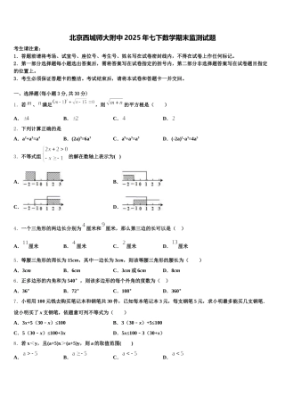 北京西城师大附中2025年七下数学期末监测试题含解析