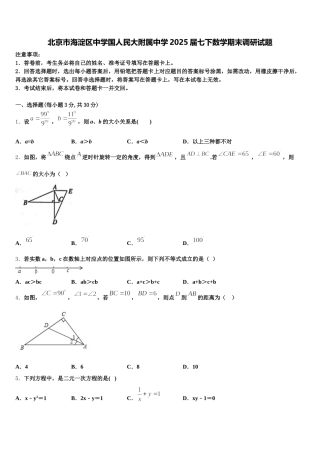 北京市海淀区中学国人民大附属中学2025届七下数学期末调研试题含解析