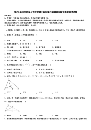 2025年北京海淀人大附数学七年级第二学期期末学业水平测试试题含解析