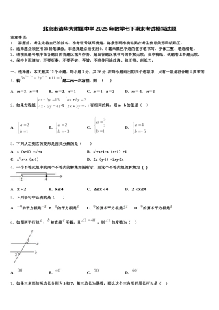 北京市清华大附属中学2025年数学七下期末考试模拟试题含解析