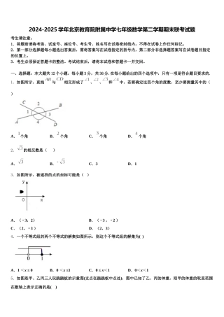 2024-2025学年北京教育院附属中学七年级数学第二学期期末联考试题含解析