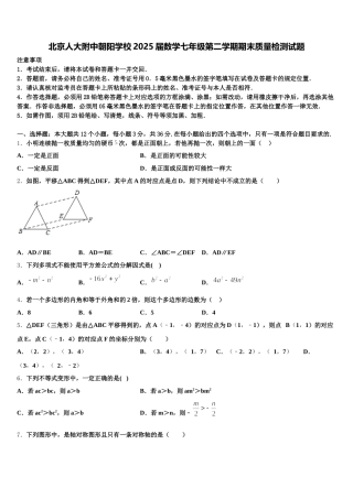 北京人大附中朝阳学校2025届数学七年级第二学期期末质量检测试题含解析