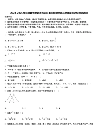 2024-2025学年福建省龙岩市永定区七年级数学第二学期期末达标检测试题含解析