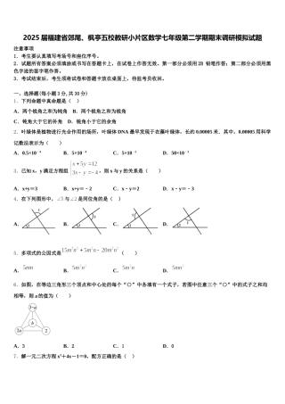2025届福建省郊尾、枫亭五校教研小片区数学七年级第二学期期末调研模拟试题含解析