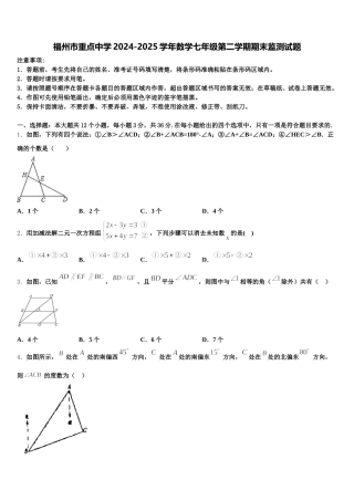 福州市重点中学2024-2025学年数学七年级第二学期期末监测试题含解析