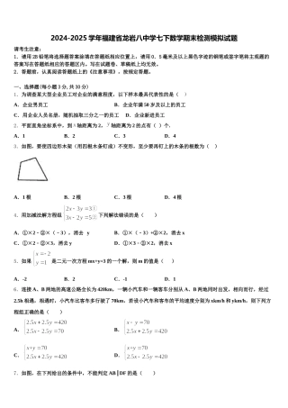2024-2025学年福建省龙岩八中学七下数学期末检测模拟试题含解析