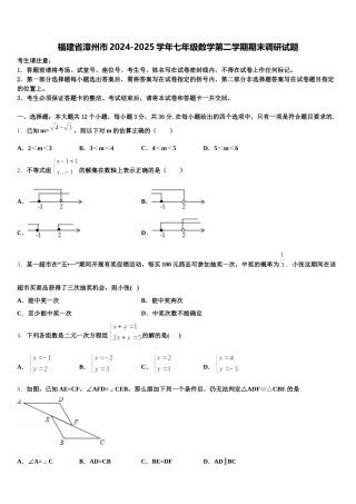 福建省漳州市2024-2025学年七年级数学第二学期期末调研试题含解析