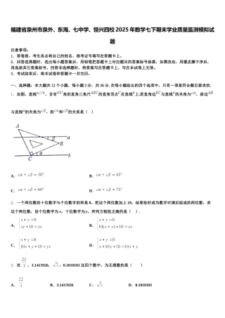 福建省泉州市泉外、东海、七中学、恒兴四校2025年数学七下期末学业质量监测模拟试题含解析