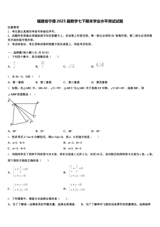 福建省宁德2025届数学七下期末学业水平测试试题含解析