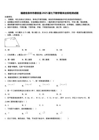 福建省泉州市惠安县2025届七下数学期末达标检测试题含解析