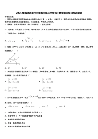 2025年福建省漳州市龙海市第二中学七下数学期末复习检测试题含解析