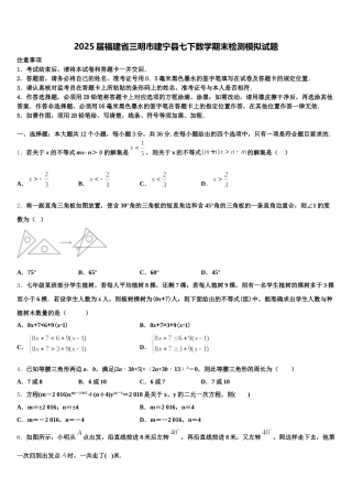 2025届福建省三明市建宁县七下数学期末检测模拟试题含解析