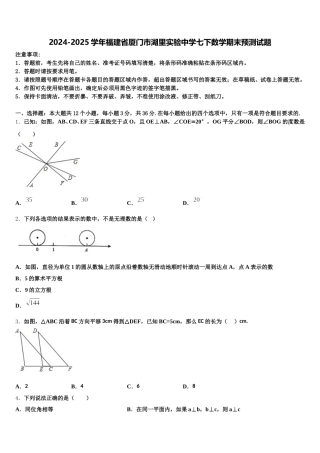 2024-2025学年福建省厦门市湖里实验中学七下数学期末预测试题含解析