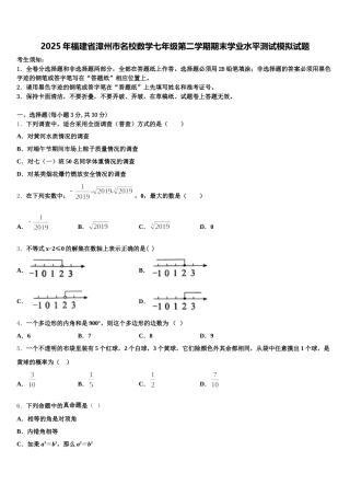 2025年福建省漳州市名校数学七年级第二学期期末学业水平测试模拟试题含解析