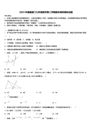 2025年福建厦门七年级数学第二学期期末调研模拟试题含解析