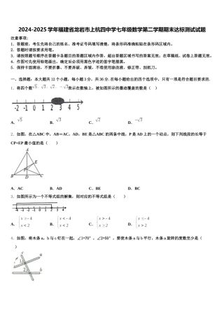 2024-2025学年福建省龙岩市上杭四中学七年级数学第二学期期末达标测试试题含解析