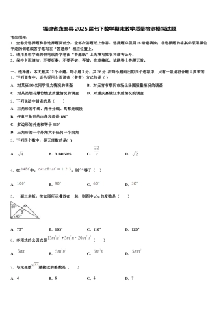 福建省永泰县2025届七下数学期末教学质量检测模拟试题含解析