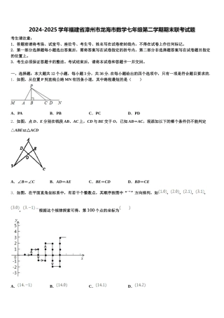 2024-2025学年福建省漳州市龙海市数学七年级第二学期期末联考试题含解析