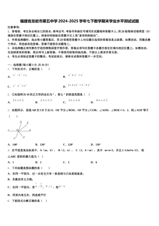 福建省龙岩市第五中学2024-2025学年七下数学期末学业水平测试试题含解析