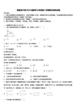 福建省宁德2025届数学七年级第二学期期末预测试题含解析
