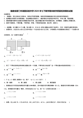 福建省厦门市湖里实验中学2025年七下数学期末教学质量检测模拟试题含解析