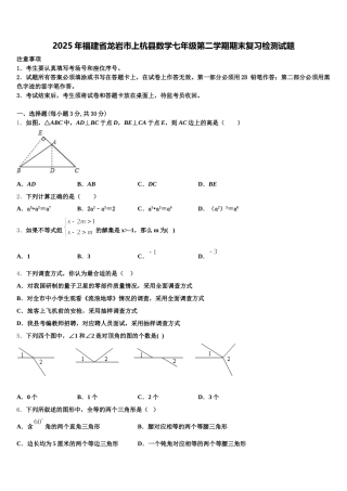 2025年福建省龙岩市上杭县数学七年级第二学期期末复习检测试题含解析