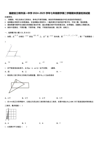 福建省三明市溪一中学2024-2025学年七年级数学第二学期期末质量检测试题含解析