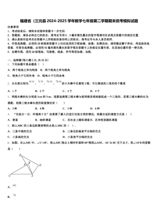 福建省（三元县2024-2025学年数学七年级第二学期期末统考模拟试题含解析