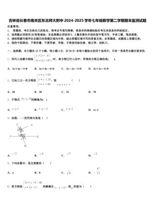 吉林省长春市南关区东北师大附中2024-2025学年七年级数学第二学期期末监测试题含解析