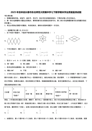 2025年吉林省长春市东北师范大附属中学七下数学期末学业质量监测试题含解析
