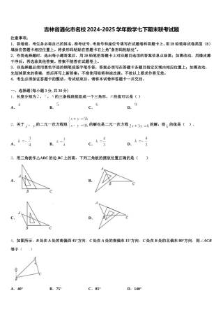 吉林省通化市名校2024-2025学年数学七下期末联考试题含解析