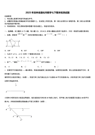 2025年吉林省通化市数学七下期末检测试题含解析