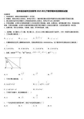 吉林省白城市五校联考2025年七下数学期末检测模拟试题含解析